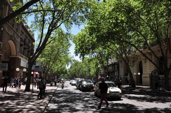 Muitas alamedas arborizadas em Mendoza, na Argentina